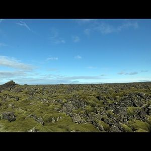 Meet your Posher, Alexandra